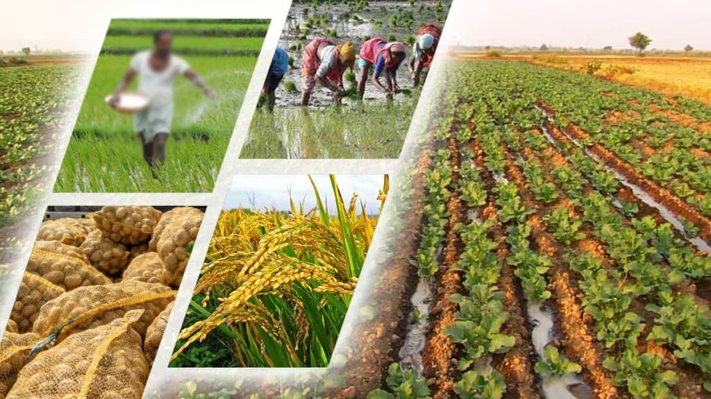 Collage of Indian farming  sowing, transplanting, harvest and field crops