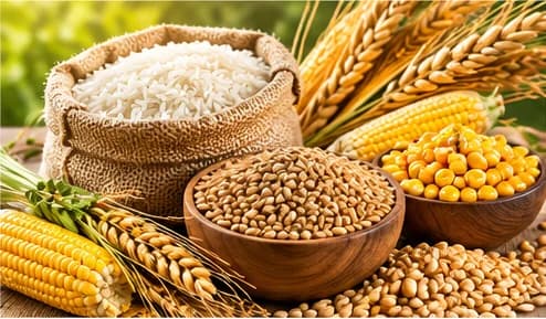 Processed agricultural products
